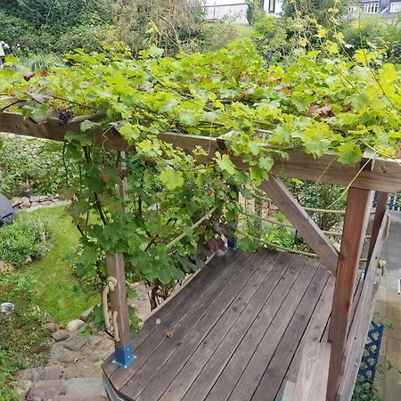 Fischerhaus Blankenese هامبورغ المظهر الخارجي الصورة