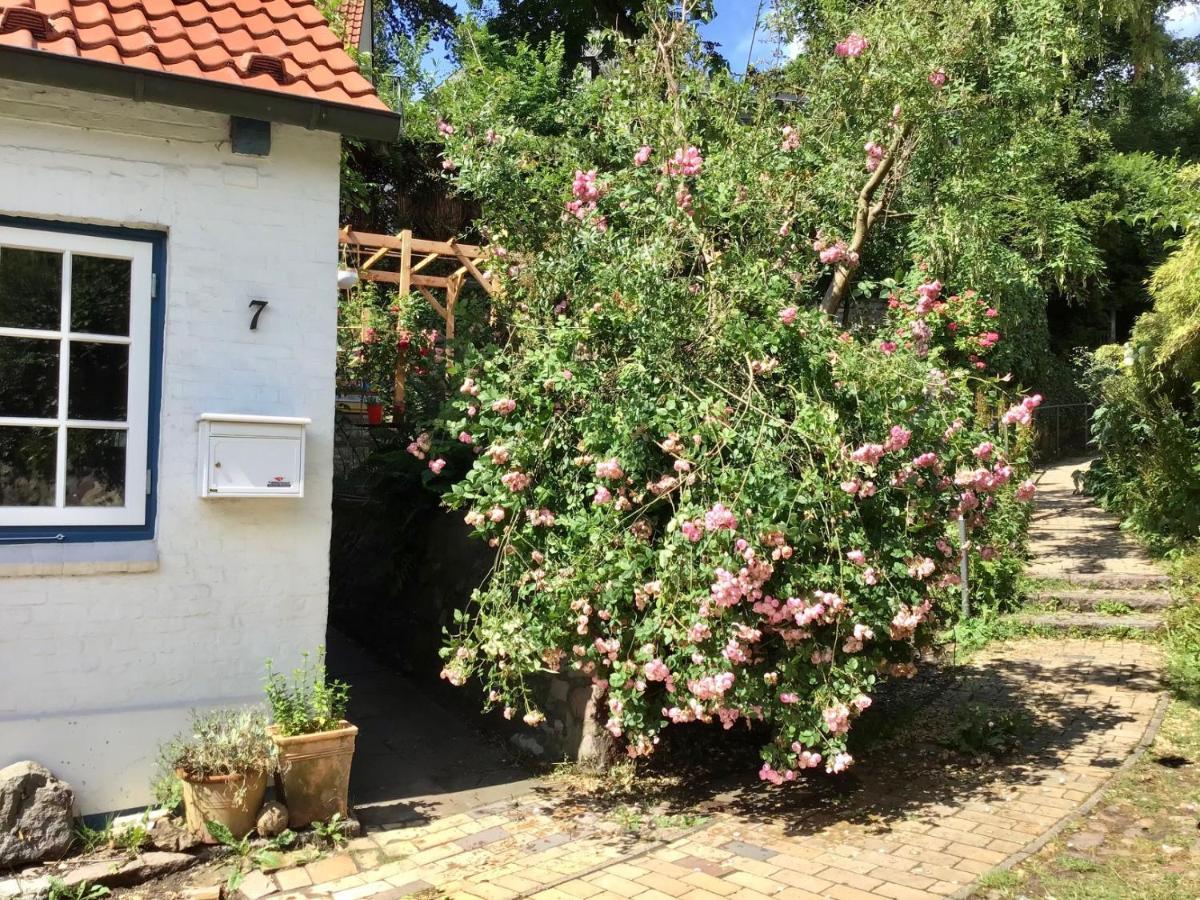 Fischerhaus Blankenese هامبورغ المظهر الخارجي الصورة