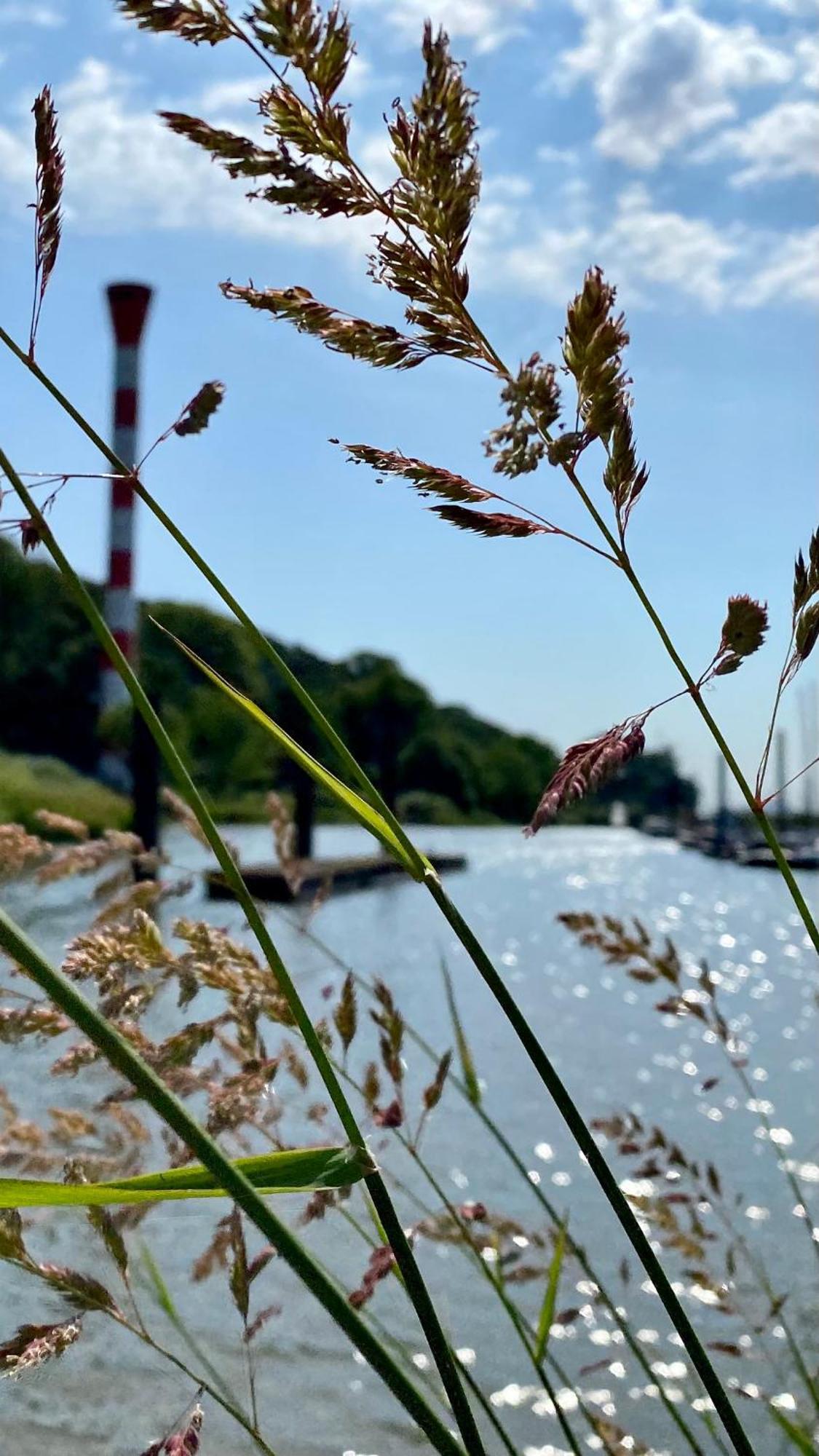Fischerhaus Blankenese هامبورغ المظهر الخارجي الصورة