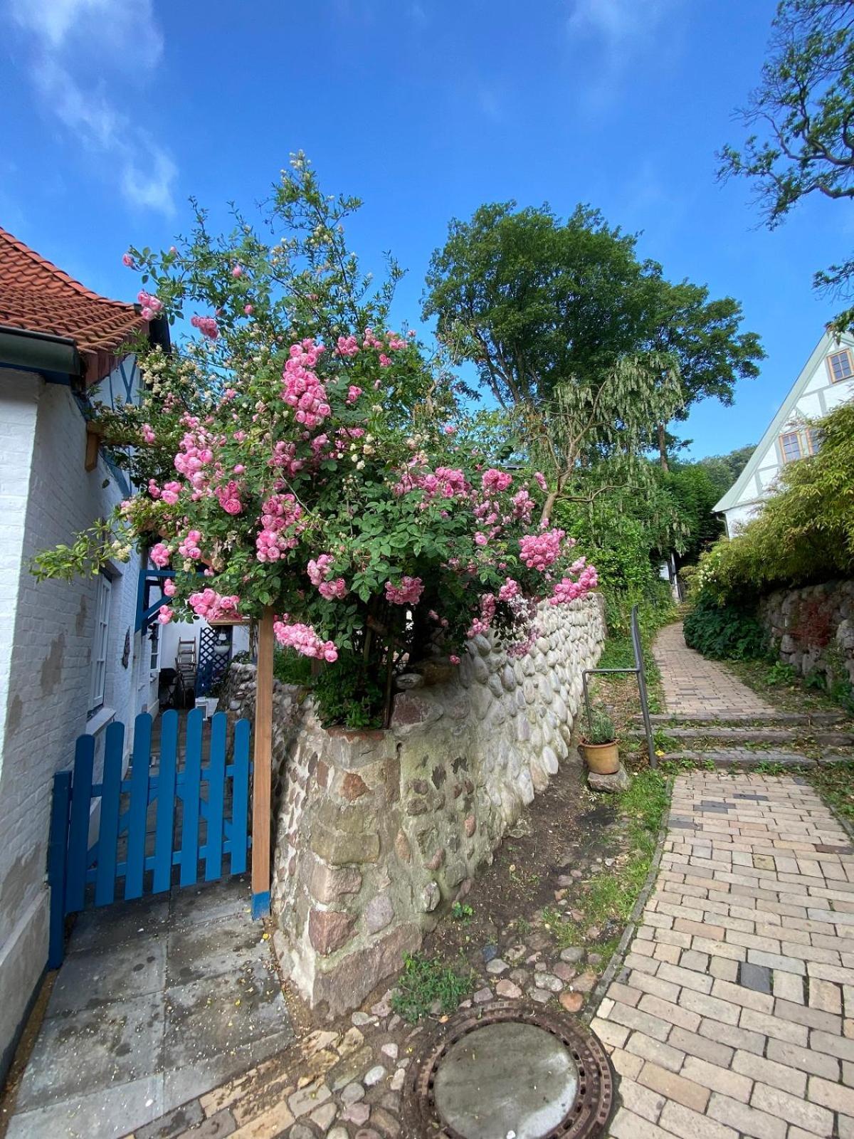 Fischerhaus Blankenese هامبورغ المظهر الخارجي الصورة