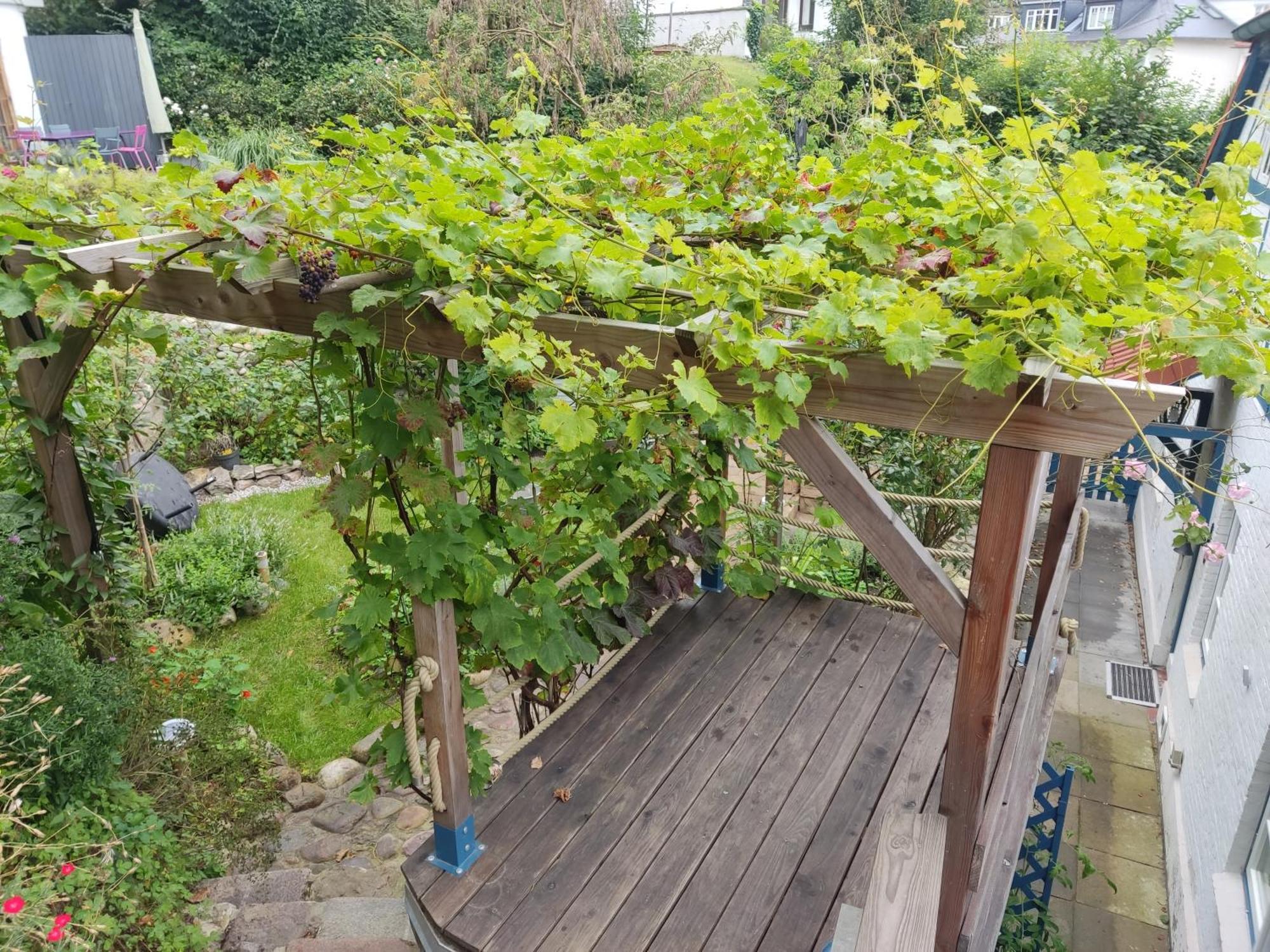 Fischerhaus Blankenese هامبورغ المظهر الخارجي الصورة